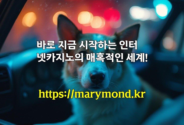 바로 지금 시작하는 인터넷카지노의 매혹적인 세계!