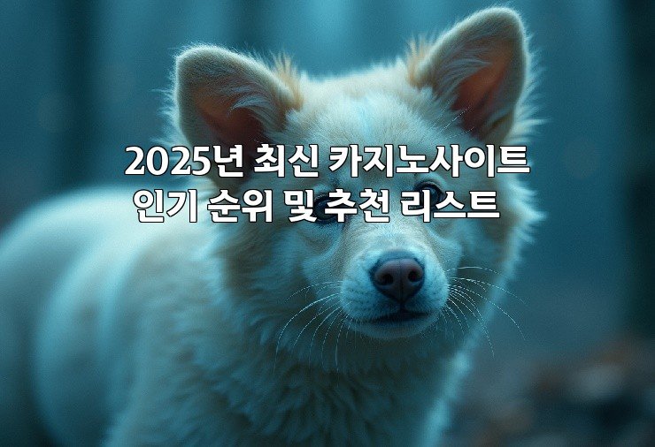 2025년 최신 카지노사이트 인기 순위 및 추천 리스트
