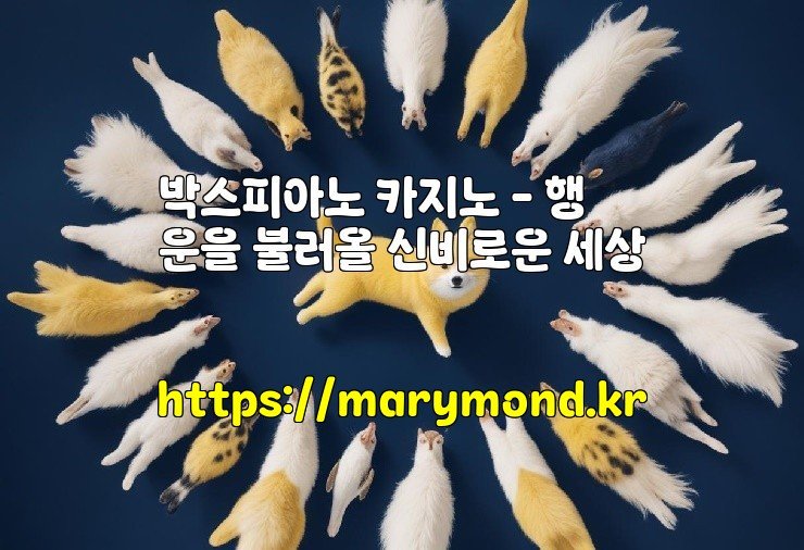 박스피아노 카지노 – 행운을 불러올 신비로운 세상