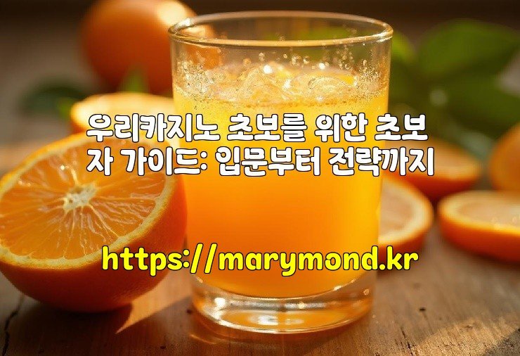 우리카지노 초보를 위한 초보자 가이드: 입문부터 전략까지